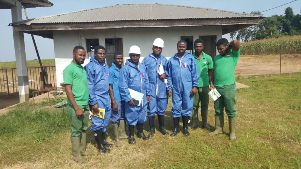 Safety Auditing /Risk Assessment